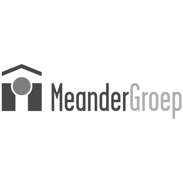Logo Meander groep